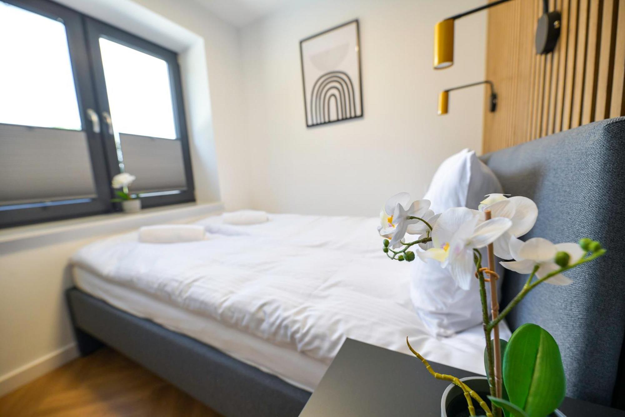 Magic Apartments - Aroma Zator Esterno foto